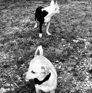 Meet your Posher, Sabrina